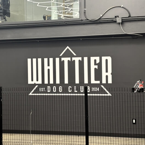 Window & Wall Graphics